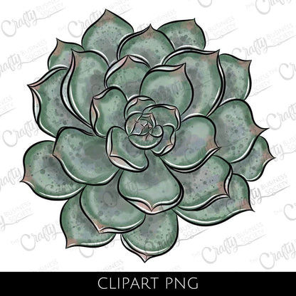 Succulent Clipart